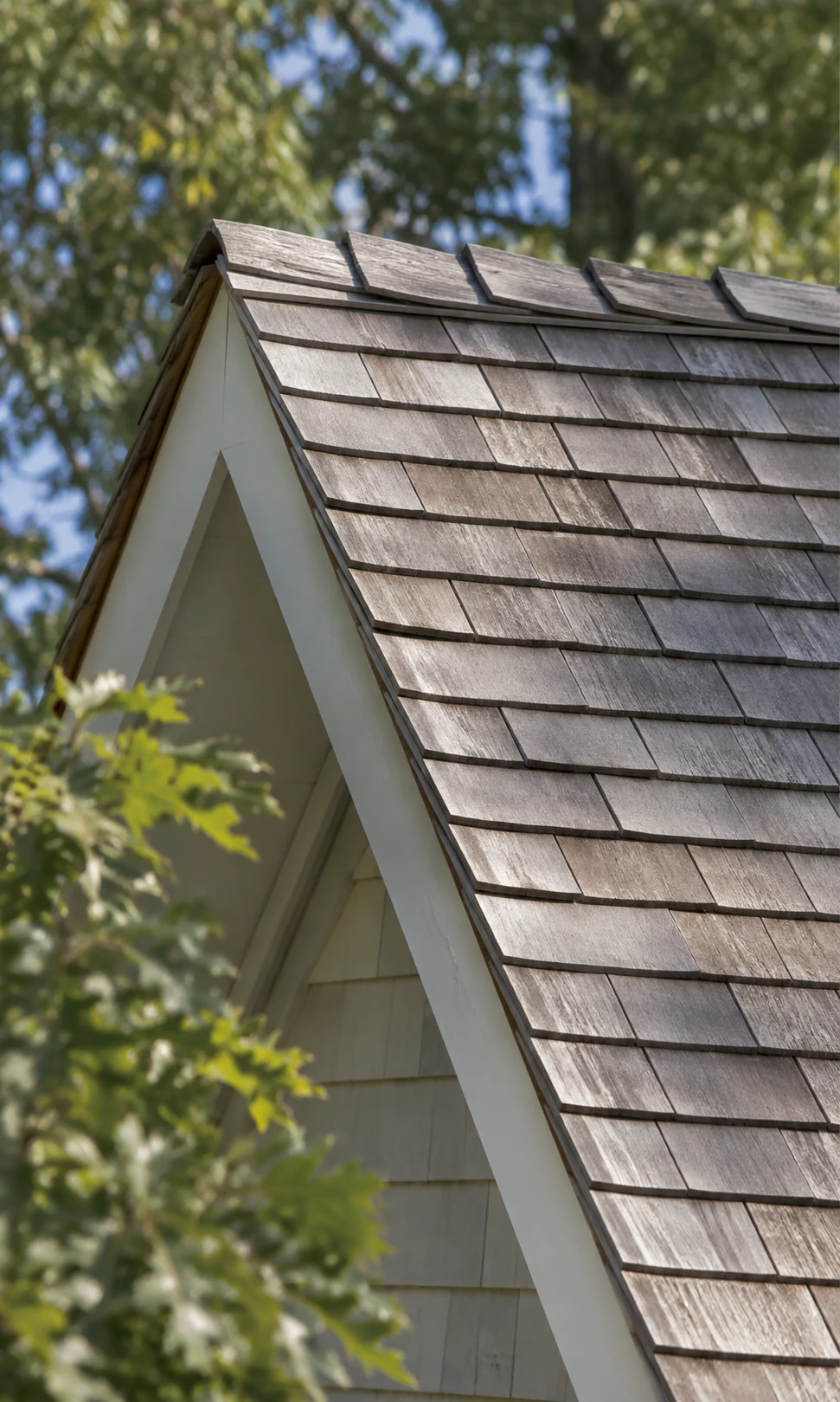 Weathered cedar roof shingles along a gable edge with white trim.